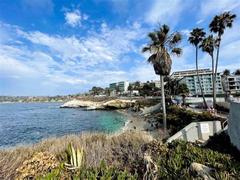 1100 coast blvd., la jolla, ca 92037|La Jolla Cove & The Best Things to Do in 2024 